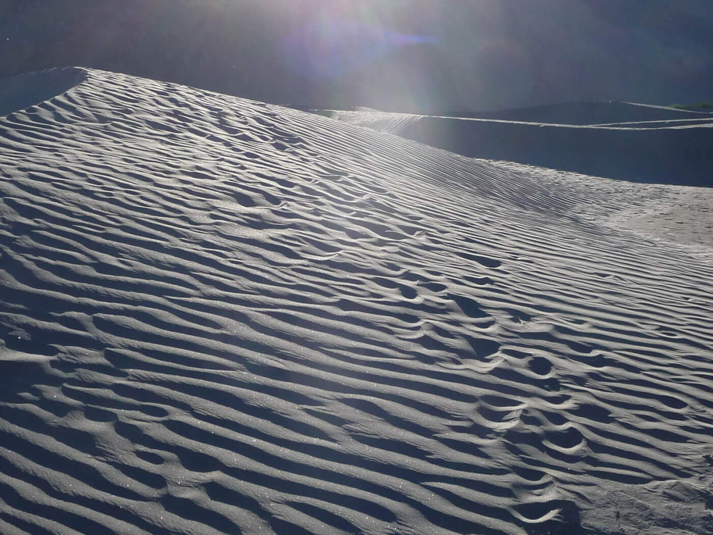 Nubra Vally Ladakh